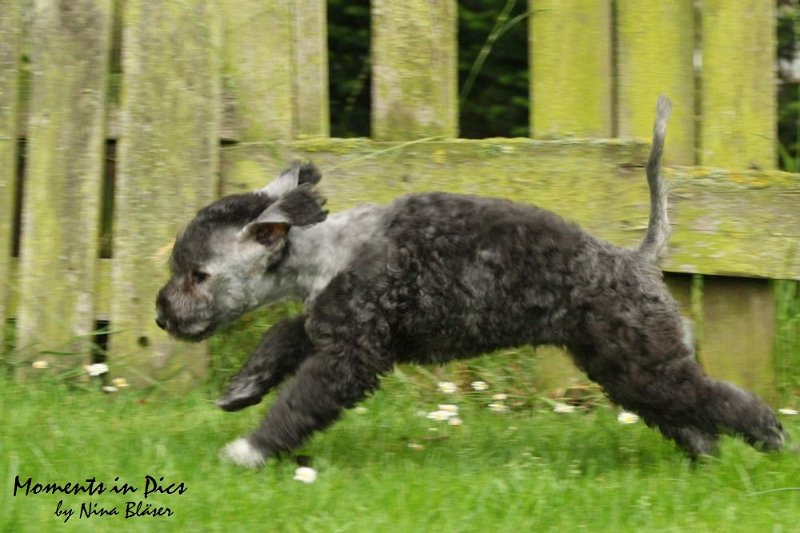 Antares 2009-07-12 (25).JPG